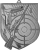 MD8063_S.png