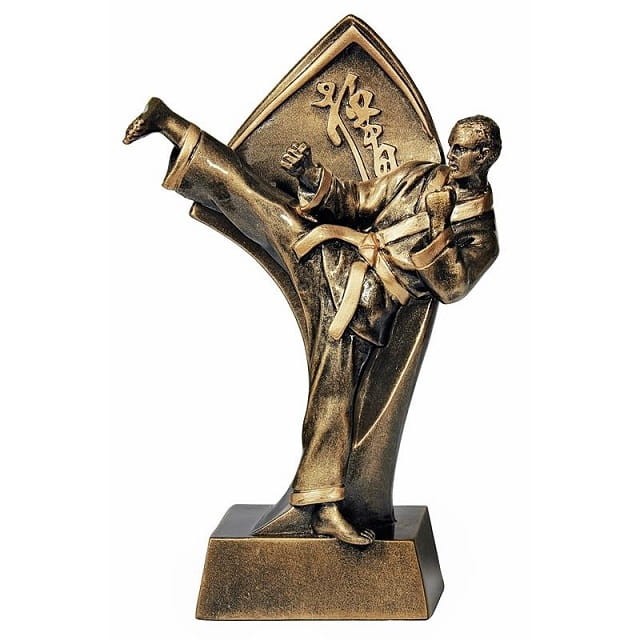 rtx017--statuetka---karate---seria-enjoy--.jpg