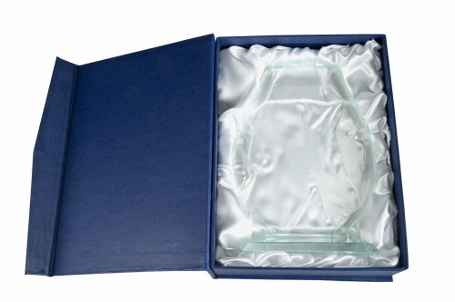 trofeum-szklane-z-etui-w361_210689 (1).jpg