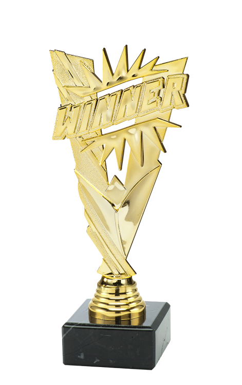 winner statuetka.png