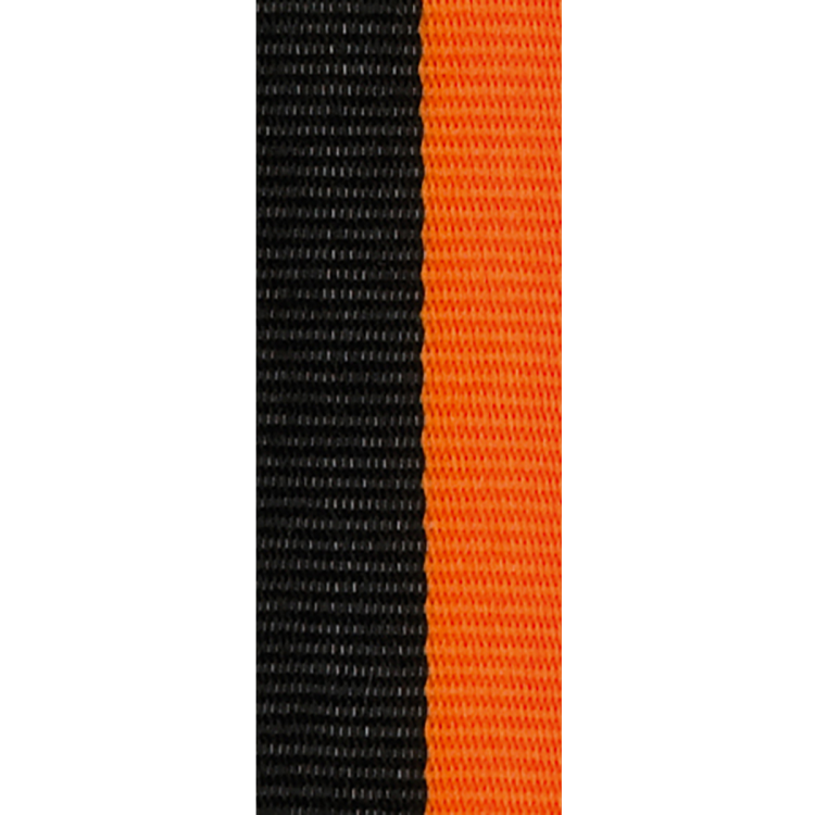 v8_zw_or.png