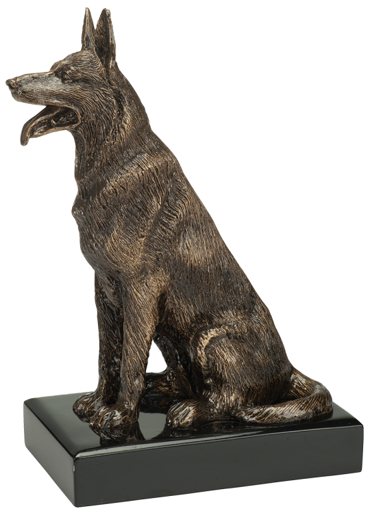 RE_154 (1).png