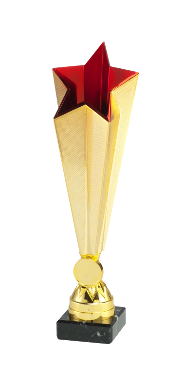 X771_06_1.png