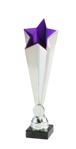 X771_55_1.png