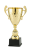 ML_046C.png