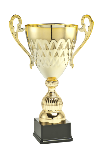 ML_034B (1).png