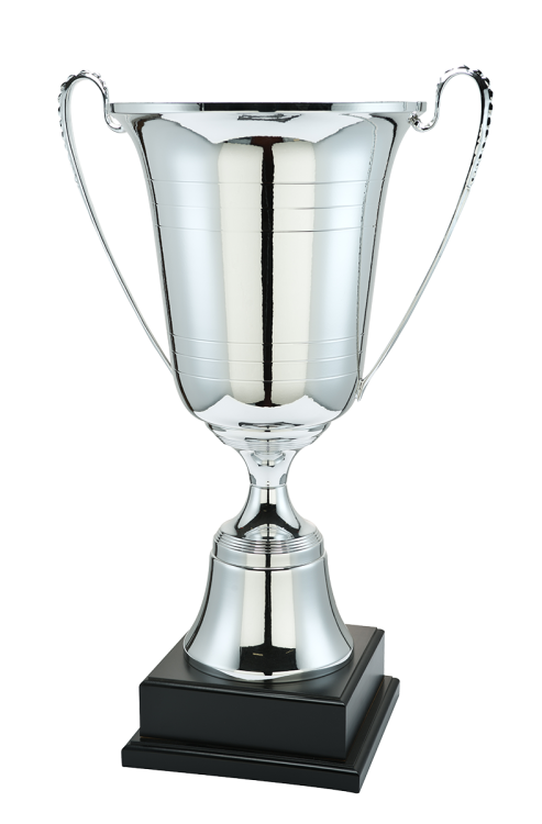 l100_02 (1).png