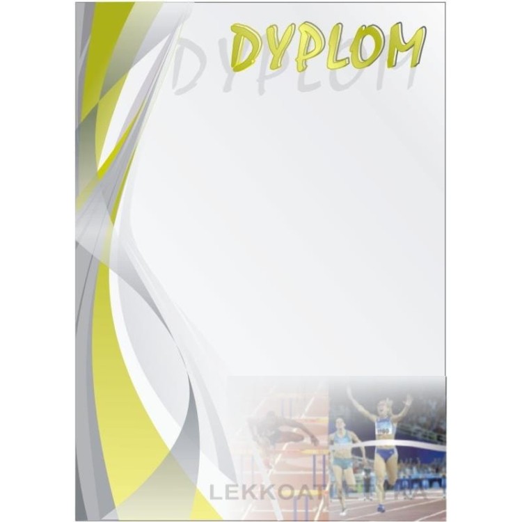 dyp-266--.jpg